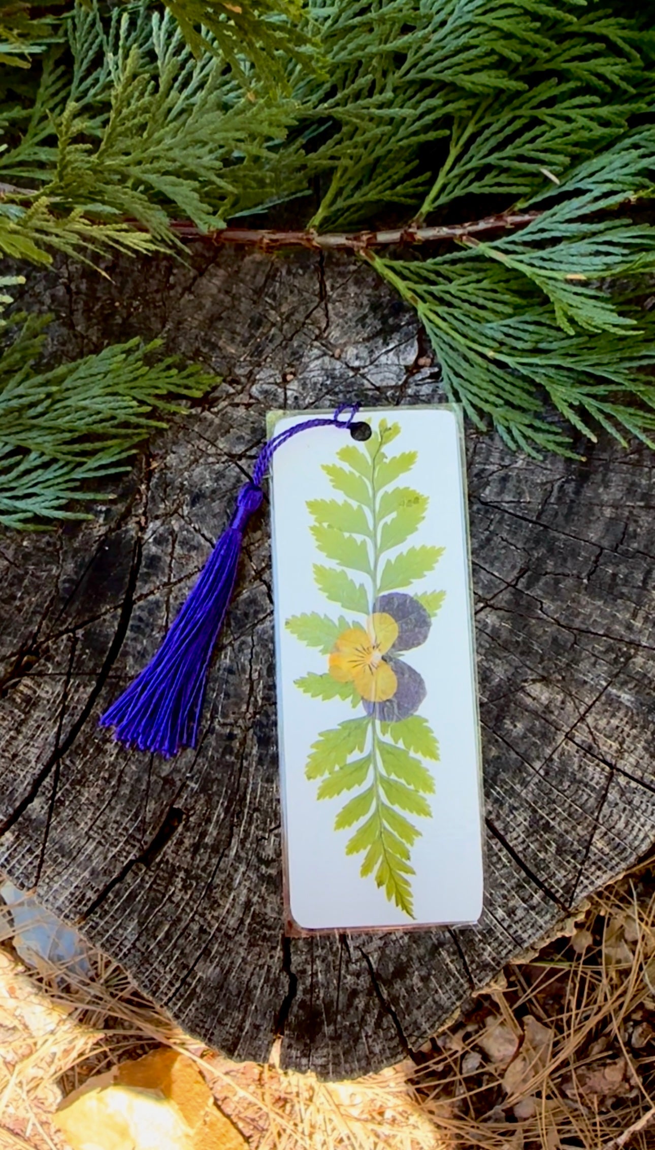 Pansy and Fern Pressed Bookmark