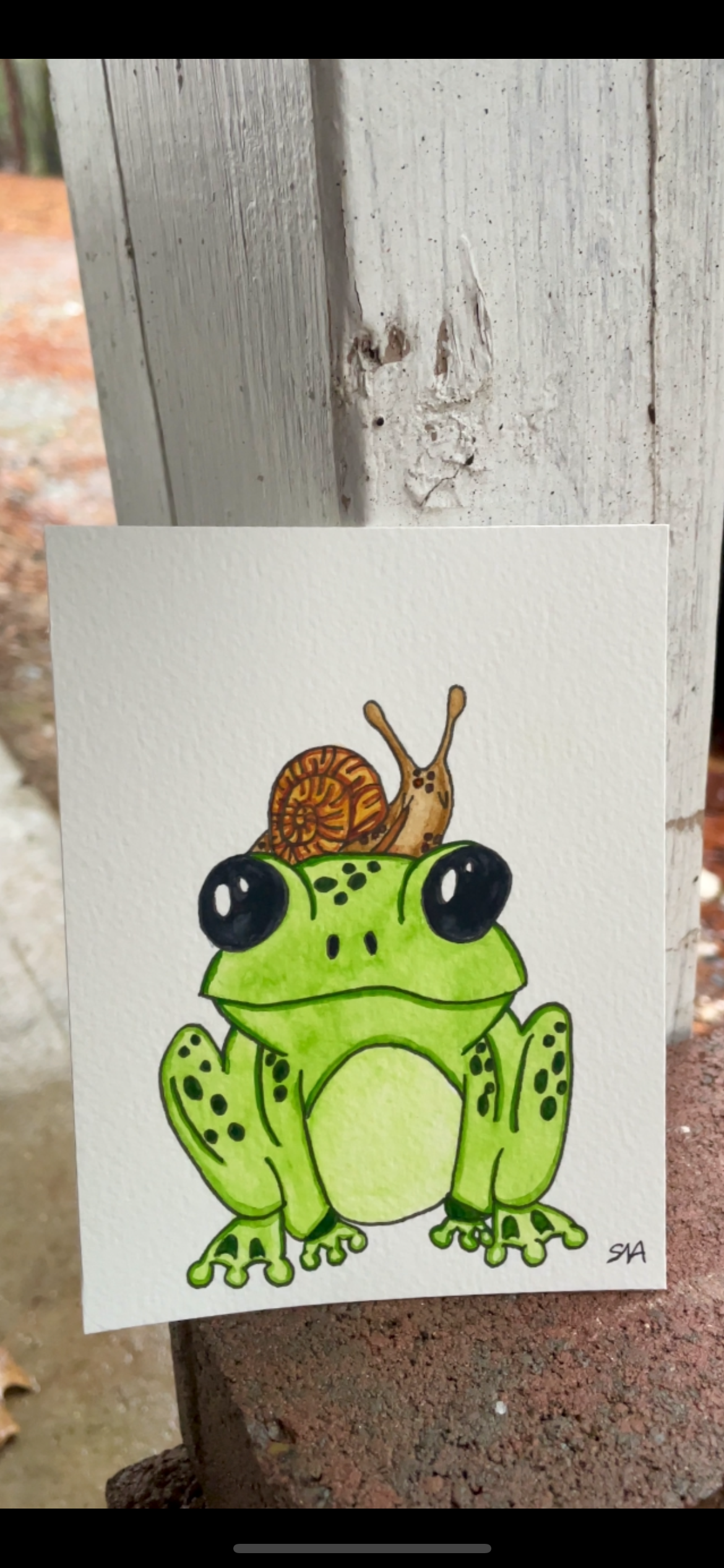 Frog & snail painting