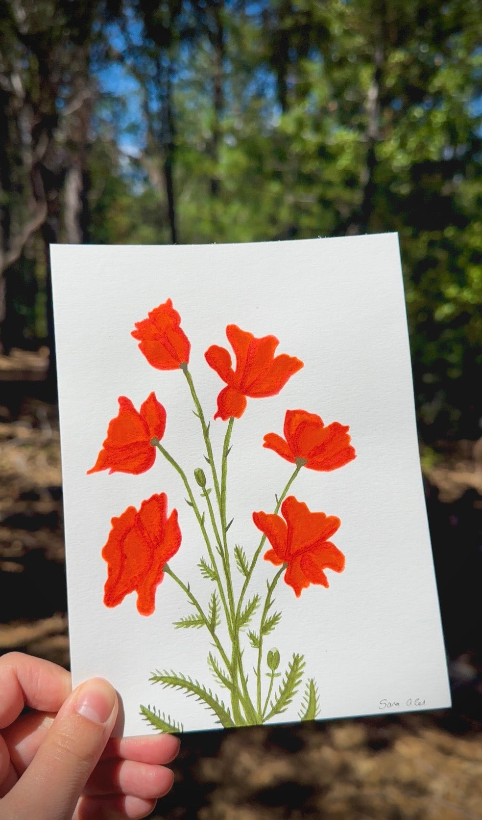 Original Watercolor Painting – Vibrant Red Poppies (5.5 x 8.5 in)