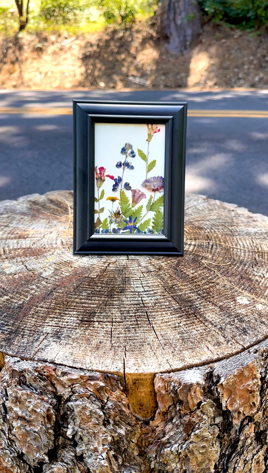 Wildflower Pressed Art