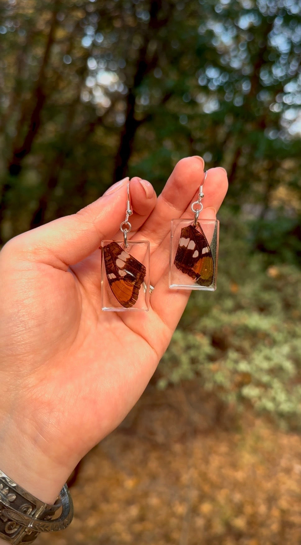 California Sister Butterfly Resin Earrings – Real Wings Preserved in Crystal-Clear Resin