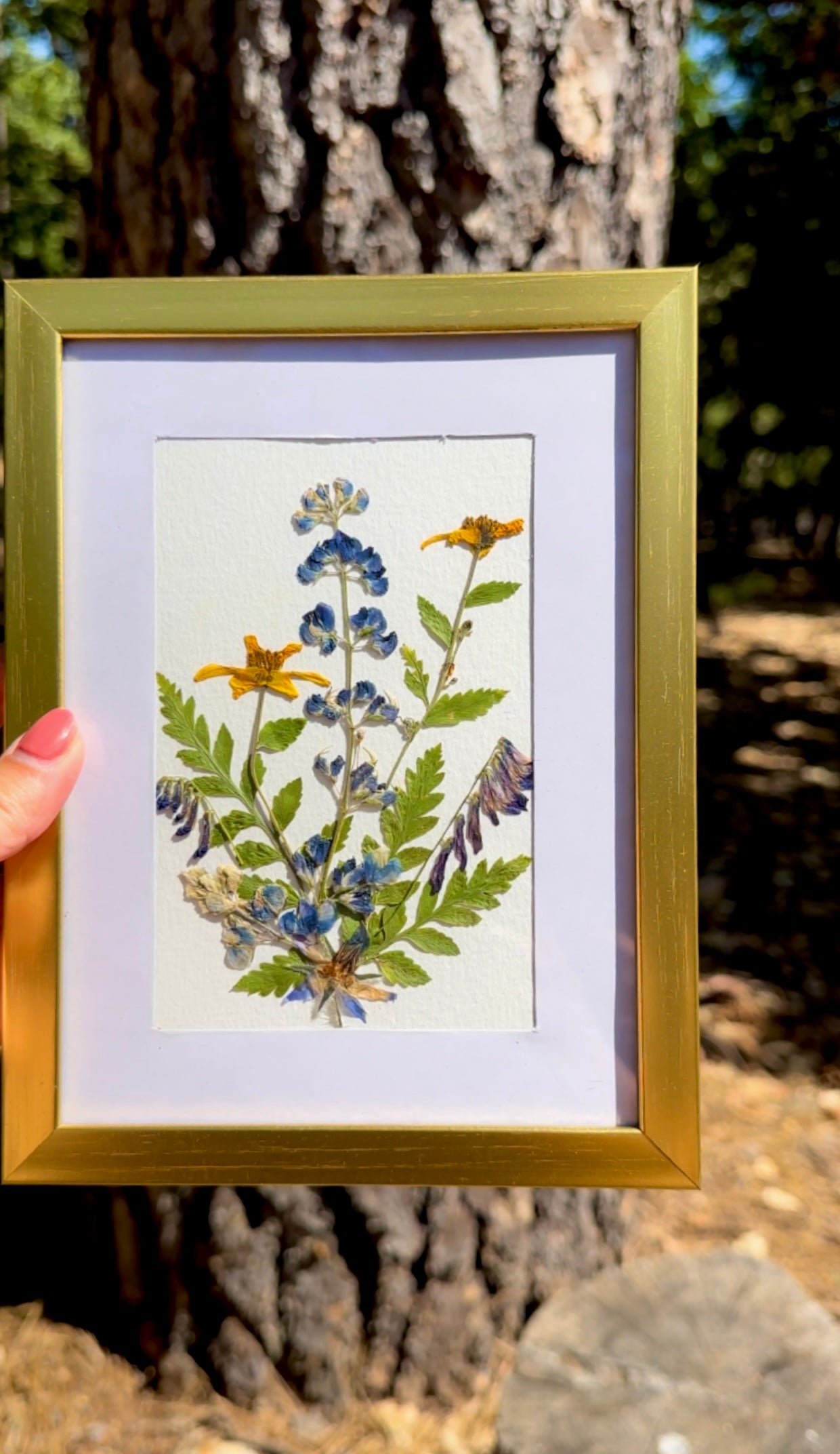 Pressed Wildflower Art