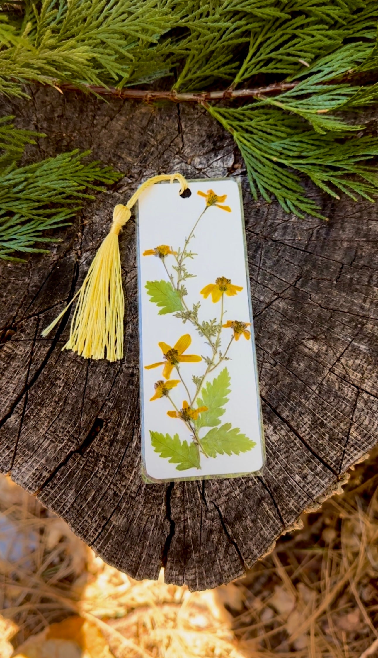 Yellow Pressed Flower Bookmark