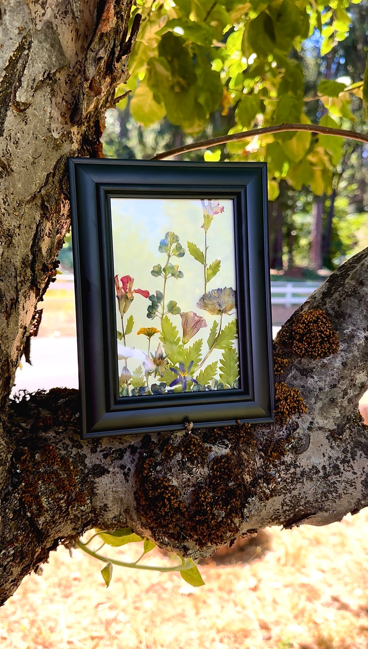 Wildflower Pressed Art