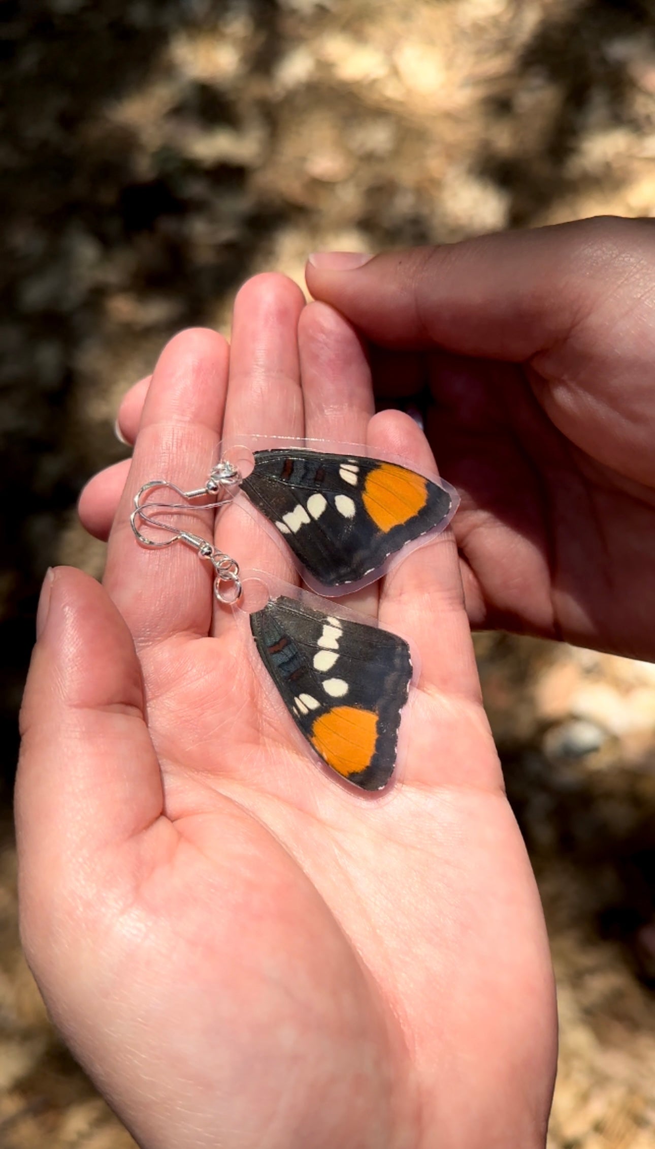 California Sister Butterfly Wing Earrings