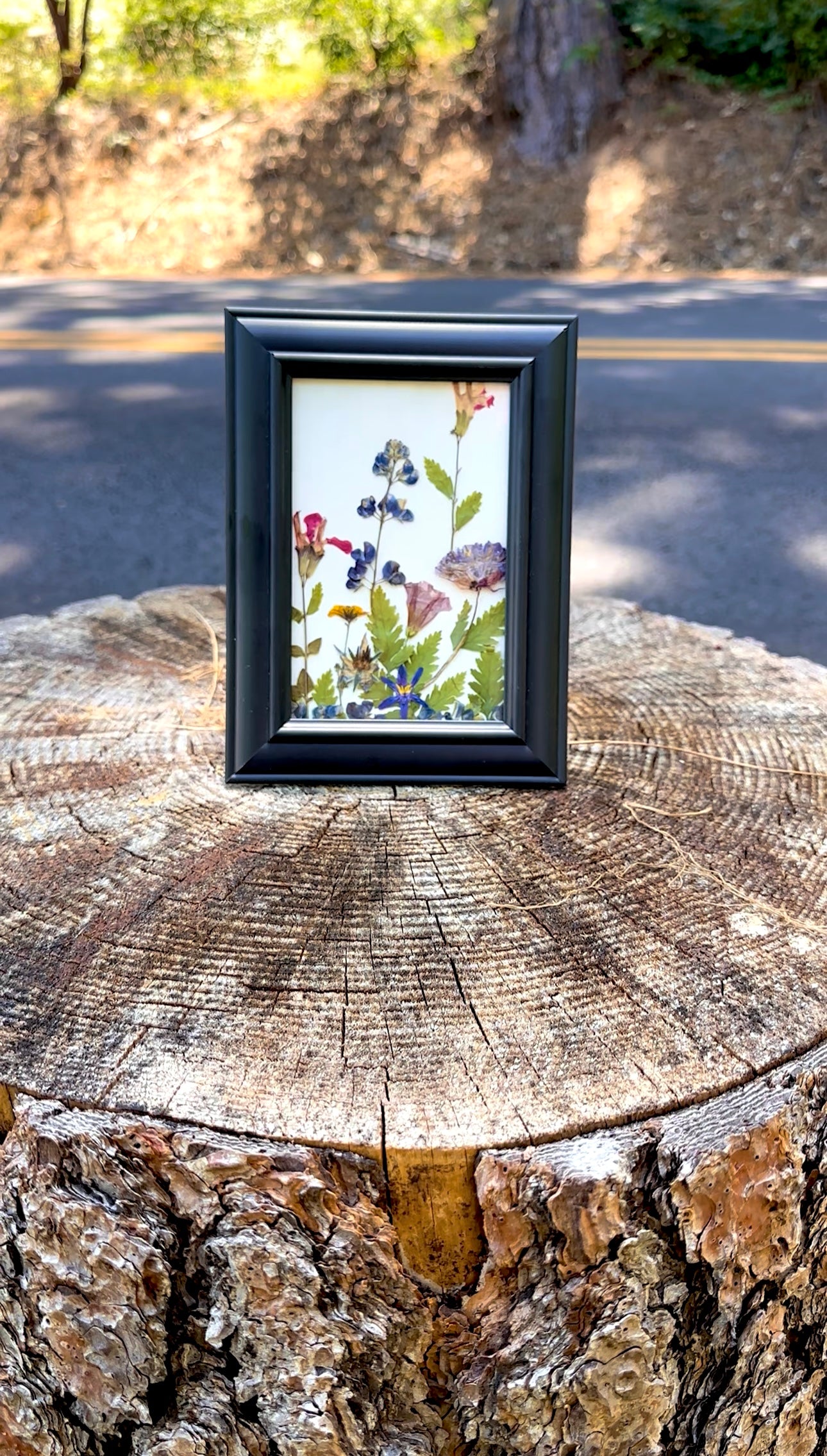 Wildflower Pressed Art