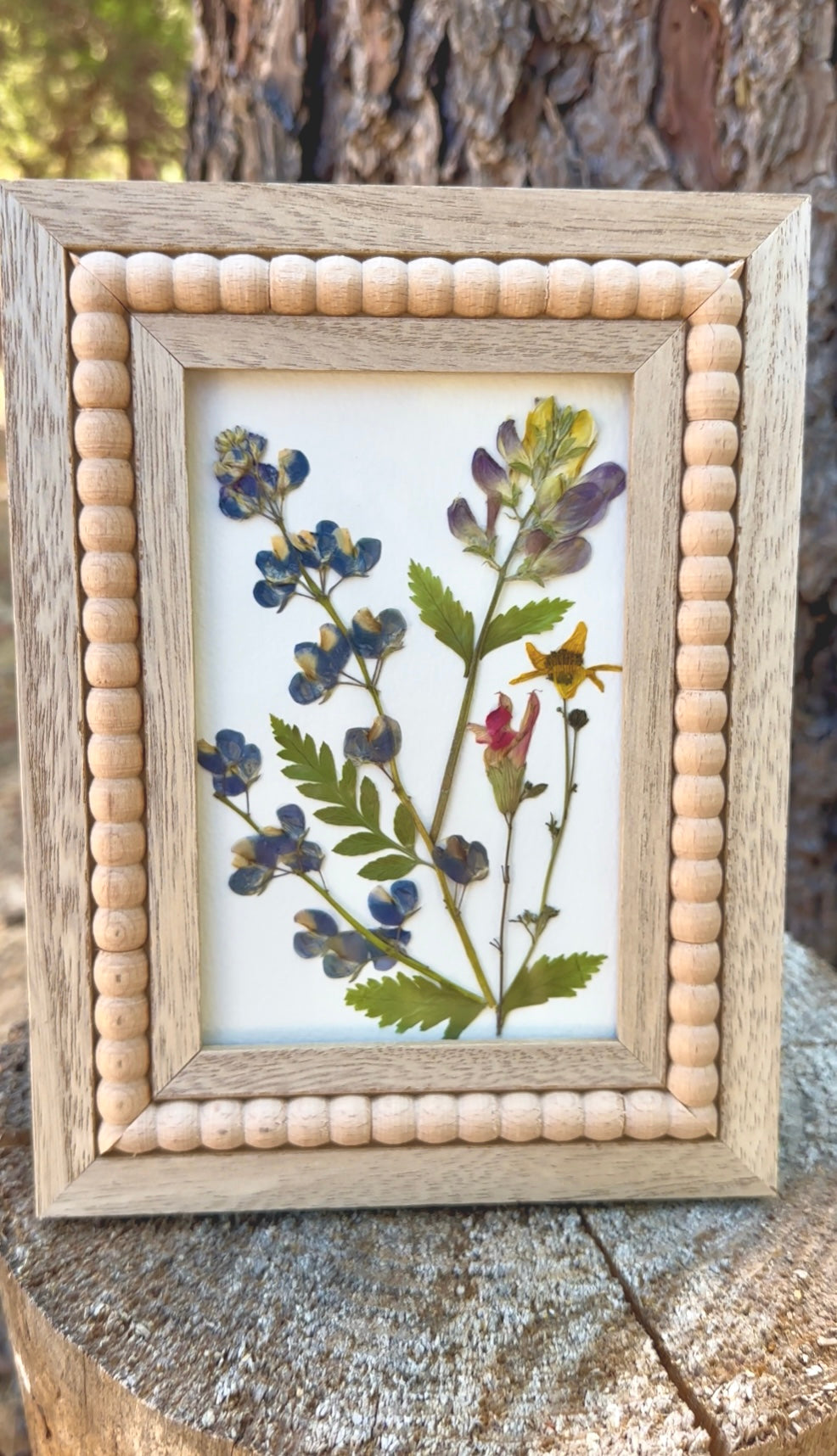 Wildflower Meadow Pressed Art | Lupine & Ferns in Handmade Frame