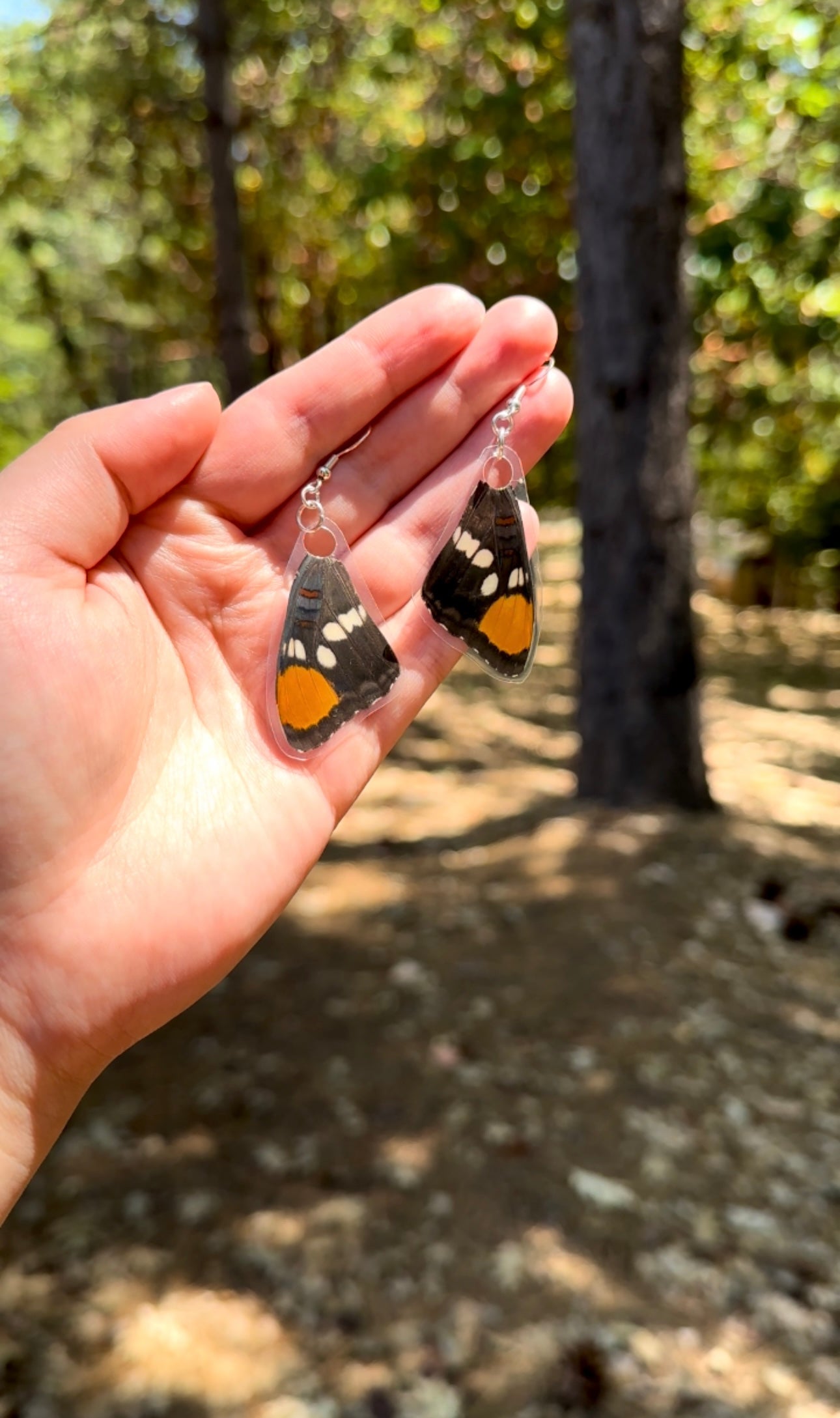 California Sister Butterfly Wing Earrings