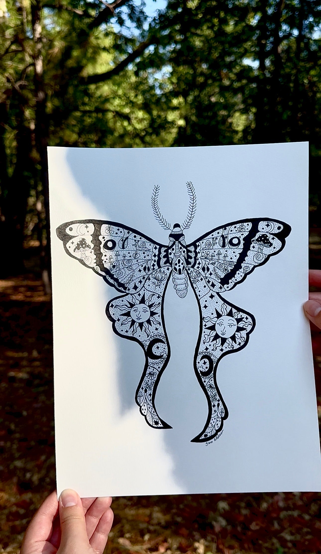 Whimsical Lunar Moth Drawing – Original Pen Artwork on Mixed Media Paper, 9x12