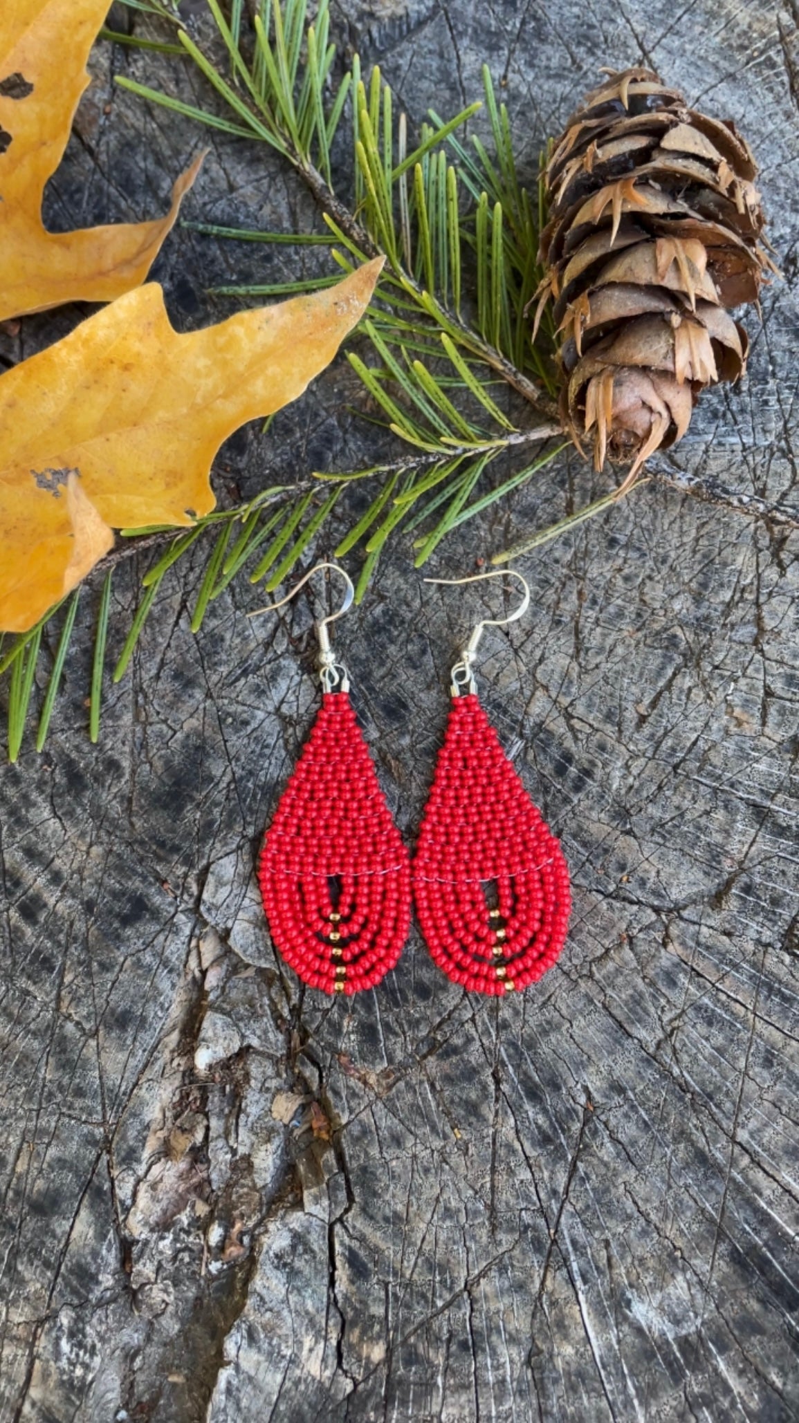 Red Beaded Earrings