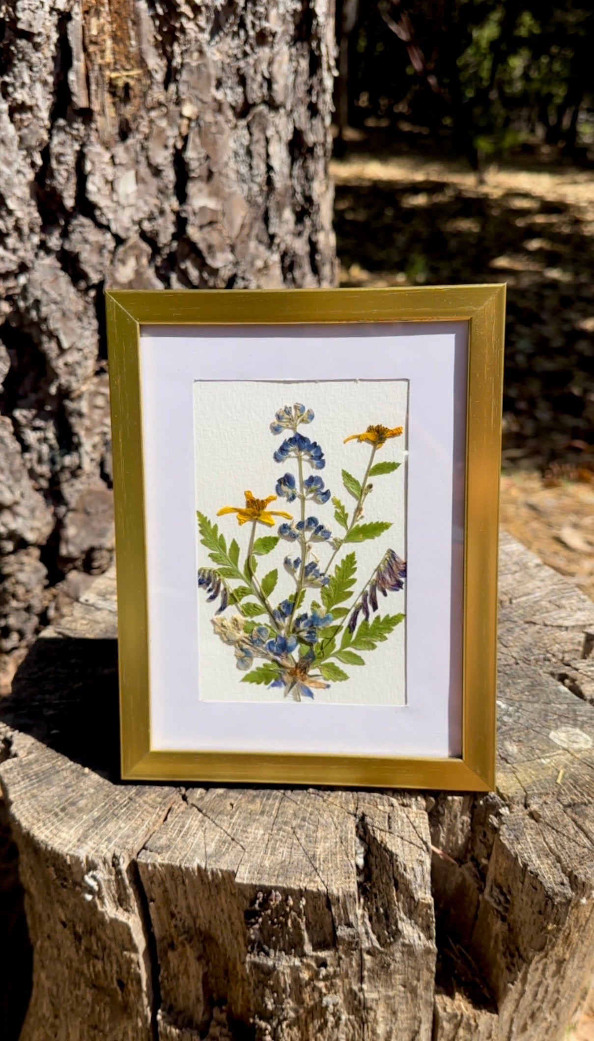 Pressed Wildflower Art