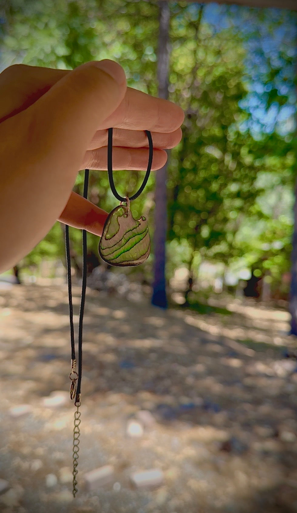 Abalone Scale Pendant Necklace – Hand-Collected & Preserved Shell